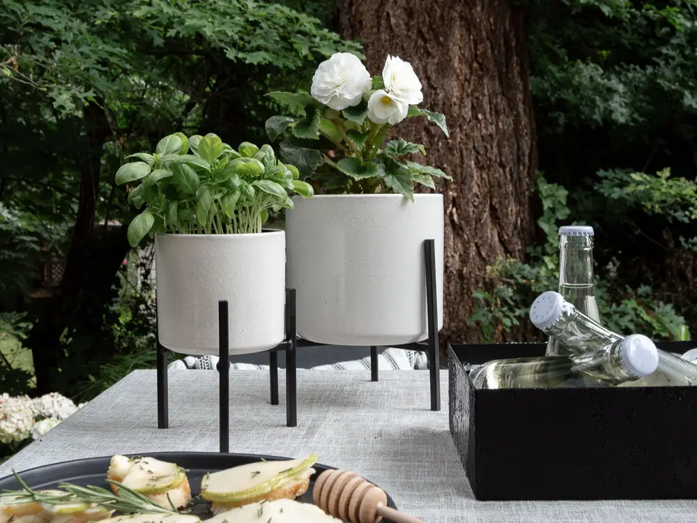 White modern tabletop planters for dining al fresco.jpg