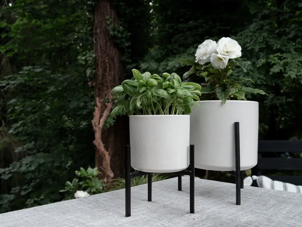black and whtie modern outdoor tabletop planters - chic dining al fresco ideas.jpg