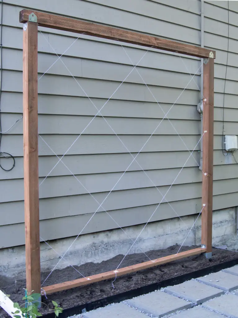 DIY+-+A+Modern+and+Freestanding+Trellis+with+criss+cross+pattern+by+the+savvy+heart.jpg